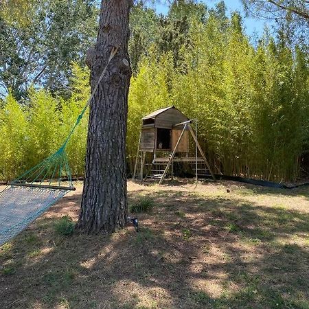 Petit Mas Calme Typique Du Sud ! Villa Valergues Kültér fotó